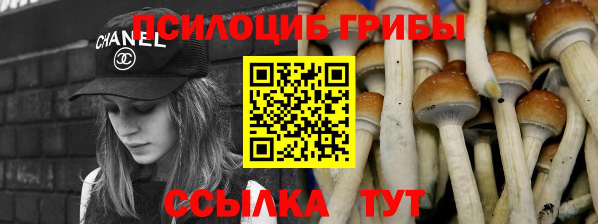 Псилоцибиновые грибы мухоморы  Вход с VPN  Алексеевка 