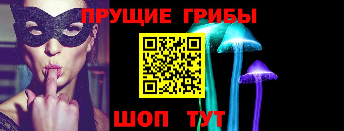 Галлюциногенные грибы Psilocybine cubensis Алексеевка